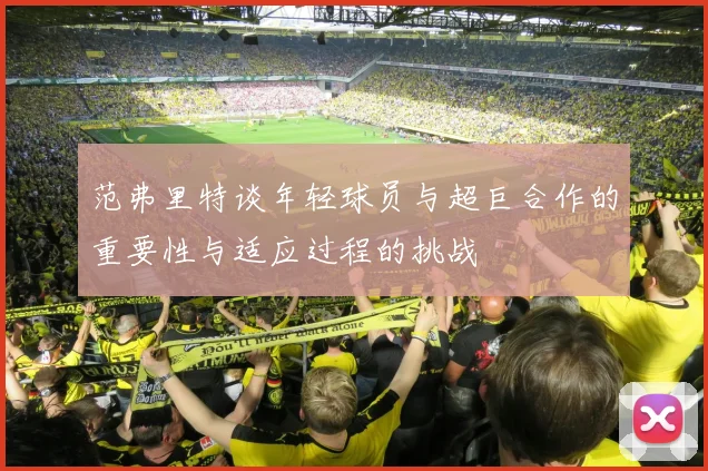 范弗里特谈年轻球员与超巨合作的重要性与适应过程的挑战
