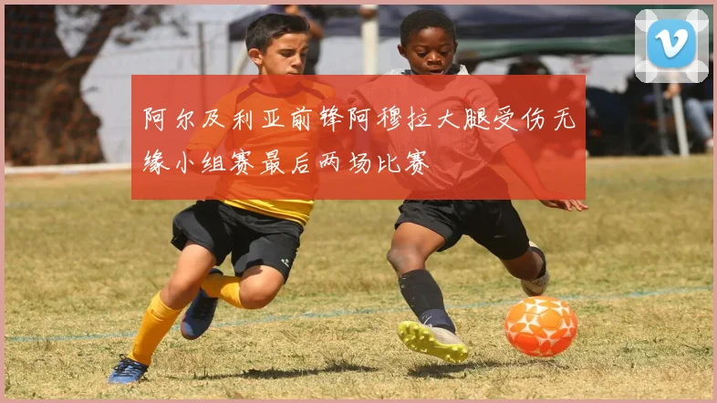 阿尔及利亚前锋阿穆拉大腿受伤无缘小组赛最后两场比赛