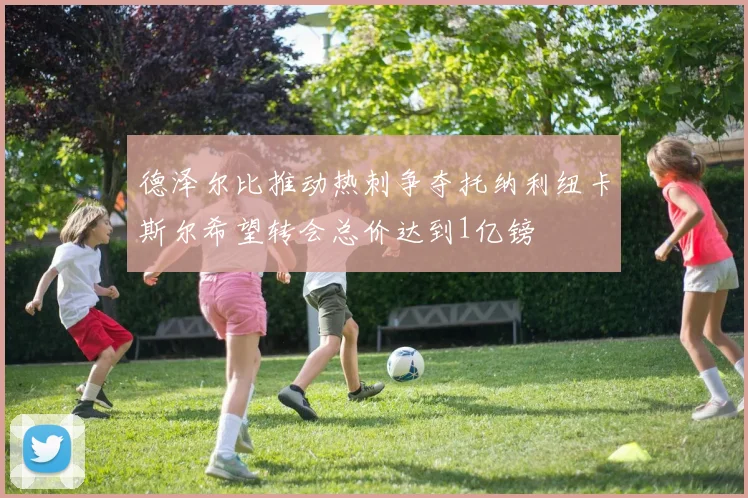 德泽尔比推动热刺争夺托纳利纽卡斯尔希望转会总价达到1亿镑